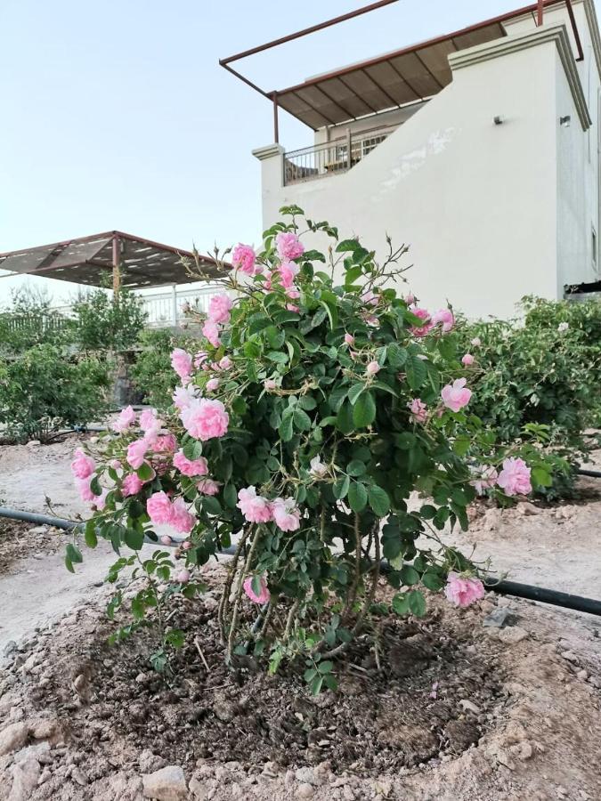 Al Romaan Villa Sayq Exterior foto